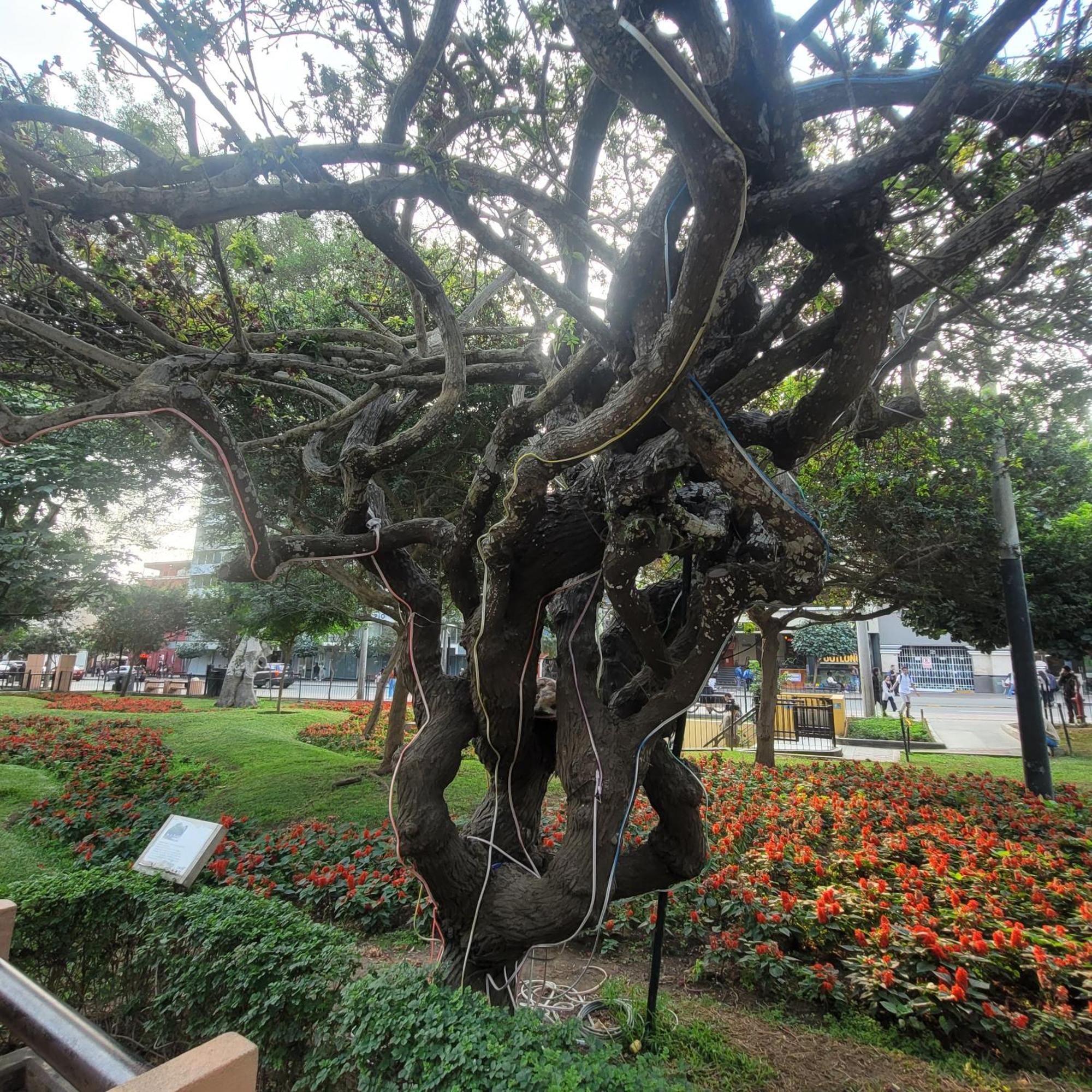 The Guest House 1 At The Booming Center Of Miraflores, Lima - Peru Экстерьер фото